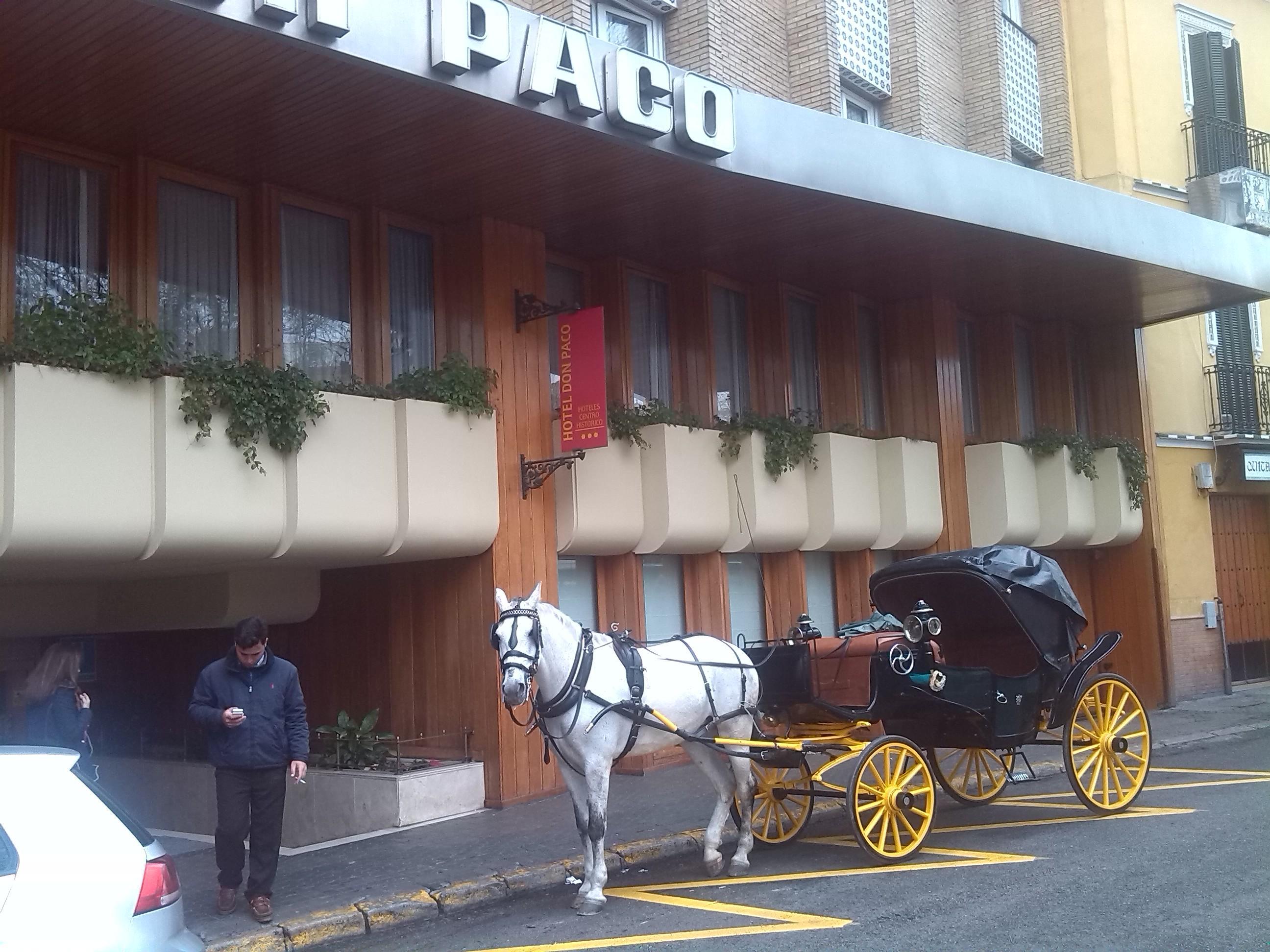 ホテル ドン パコ セビリア エクステリア 写真